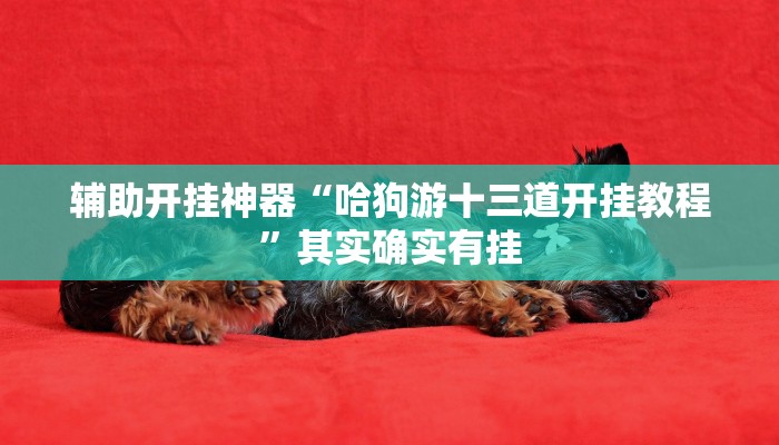 辅助开挂神器“哈狗游十三道开挂教程”其实确实有挂