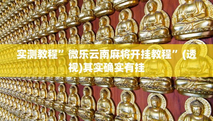 教程开挂辅助“江南苑苑真的确实有挂”详细分享装挂步骤教程