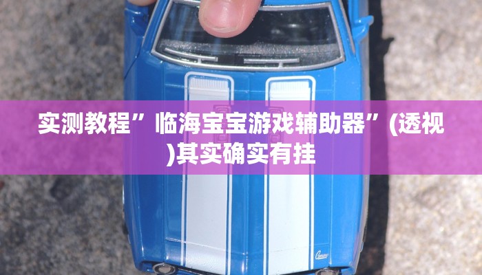 实测教程”临海宝宝游戏辅助器”(透视)其实确实有挂