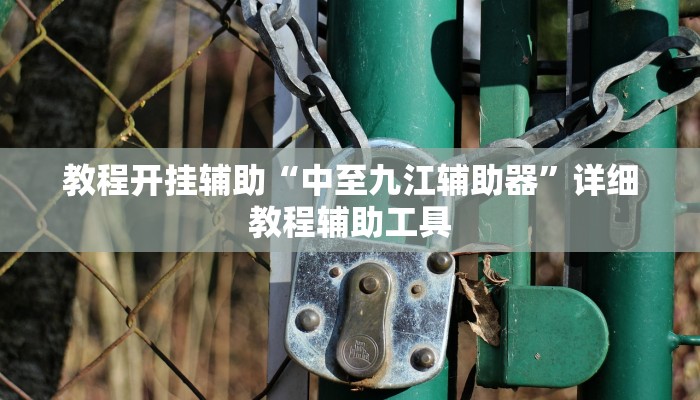 教程开挂辅助“中至九江辅助器”详细教程辅助工具