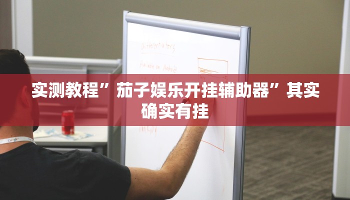 实测教程”茄子娱乐开挂辅助器”其实确实有挂