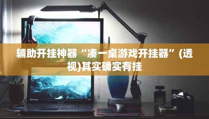 辅助开挂神器“凑一桌游戏开挂器”(透视)其实确实有挂