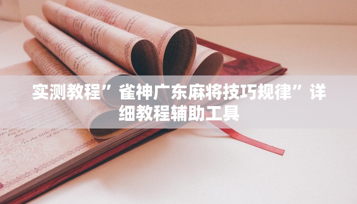 实测教程”雀神广东麻将技巧规律”详细教程辅助工具