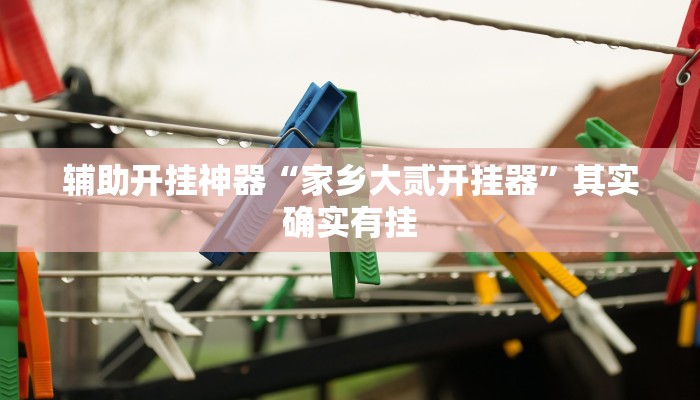 辅助开挂神器“家乡大贰开挂器”其实确实有挂