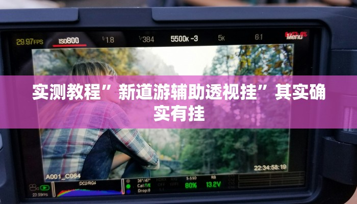 实测教程”新道游辅助透视挂”其实确实有挂