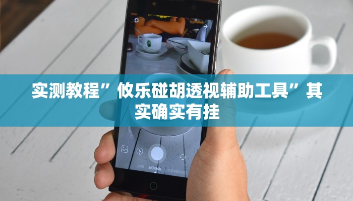 实测教程”攸乐碰胡透视辅助工具”其实确实有挂