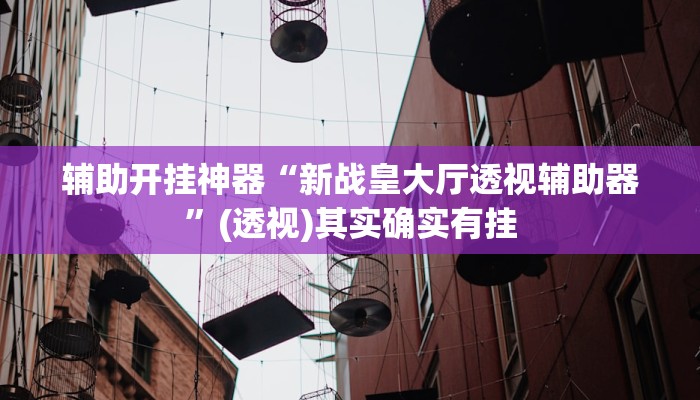 辅助开挂神器“新战皇大厅透视辅助器”(透视)其实确实有挂