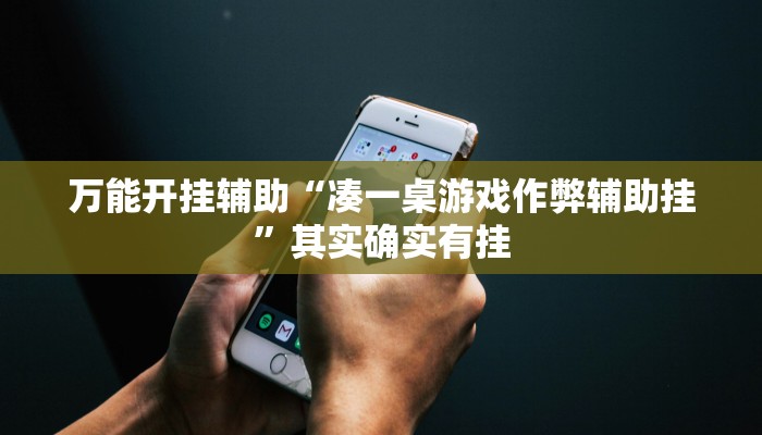 万能开挂辅助“凑一桌游戏作弊辅助挂”其实确实有挂