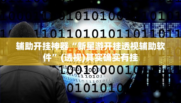 辅助开挂神器“新星游开挂透视辅助软件”(透视)其实确实有挂