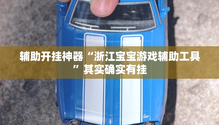 辅助开挂神器“浙江宝宝游戏辅助工具”其实确实有挂