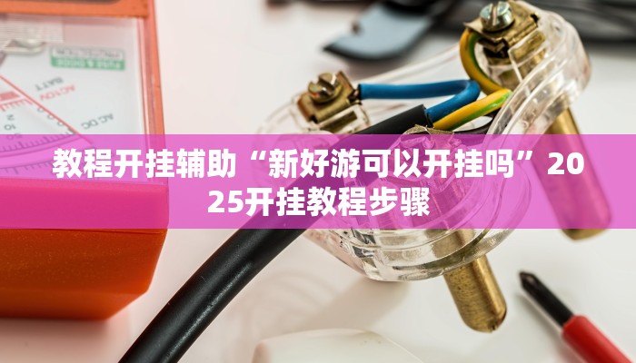 教程开挂辅助“新好游可以开挂吗”2025开挂教程步骤
