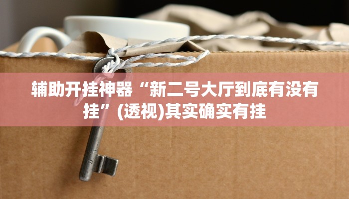 辅助开挂神器“新二号大厅到底有没有挂”(透视)其实确实有挂