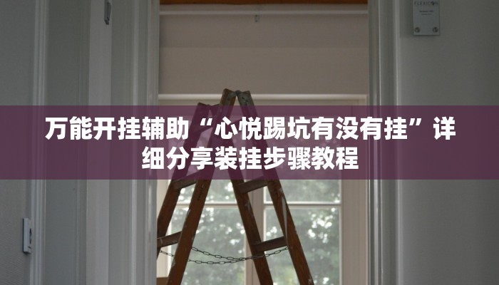万能开挂辅助“心悦踢坑有没有挂”详细分享装挂步骤教程