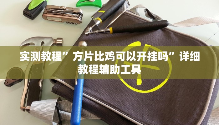 实测教程”方片比鸡可以开挂吗”详细教程辅助工具