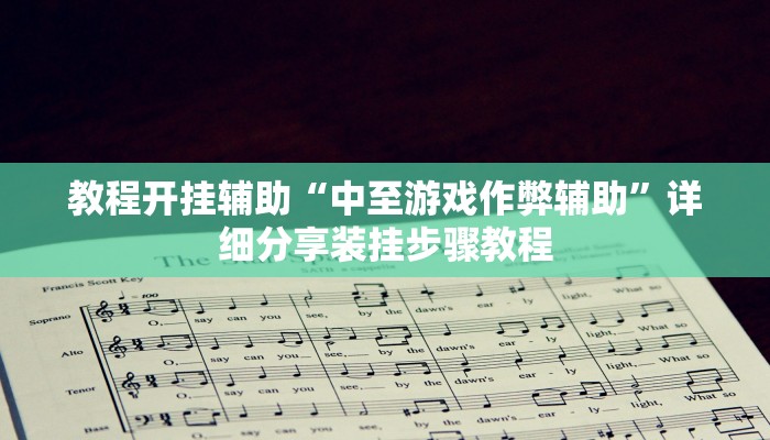 教程开挂辅助“中至游戏作弊辅助”详细分享装挂步骤教程