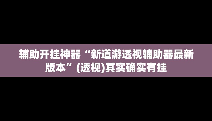 辅助开挂神器“新道游透视辅助器最新版本”(透视)其实确实有挂