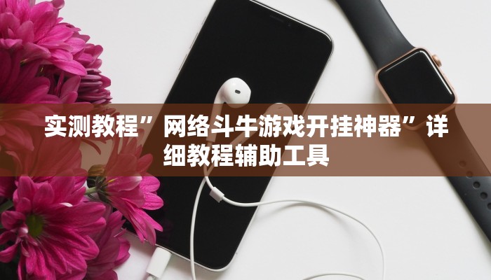 实测教程”网络斗牛游戏开挂神器”详细教程辅助工具